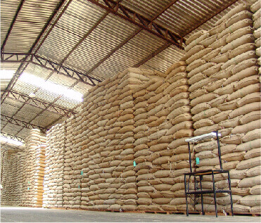 Industrial Air Cooler for Agriculture Industry